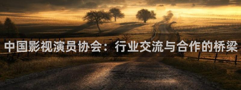 保利中环电影院影讯：中国影视演员协会：行业交流与合作的桥梁