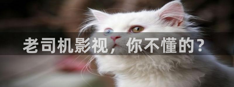 逸天城保利国际影城今日电影：老司机影视，你不懂的？
