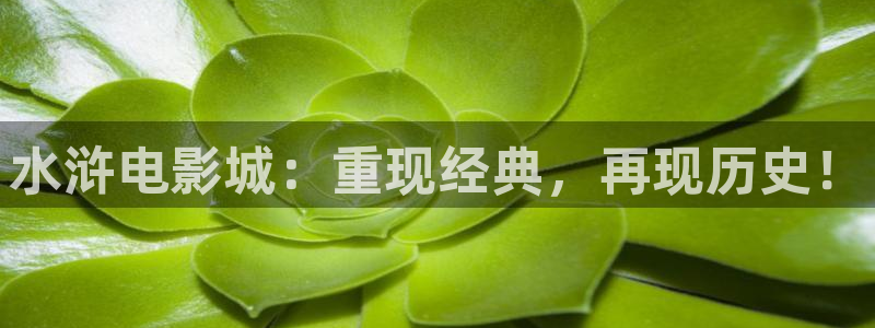 嘉定保利剧院简介