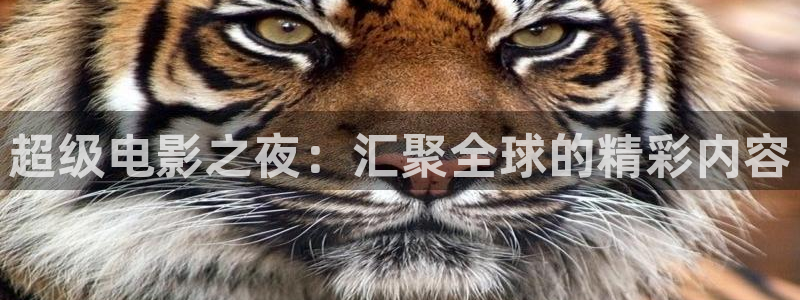 江豪广场保利万和国际影院