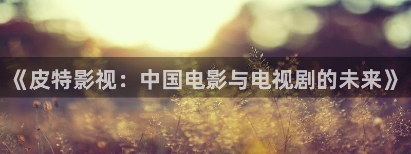 成都保利万和国际影城：《皮特影视：中国电影与电视剧的未来》