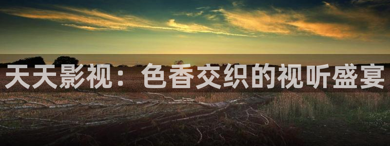 保利万和影城怎么样：天天影视：色香交织的视听盛宴