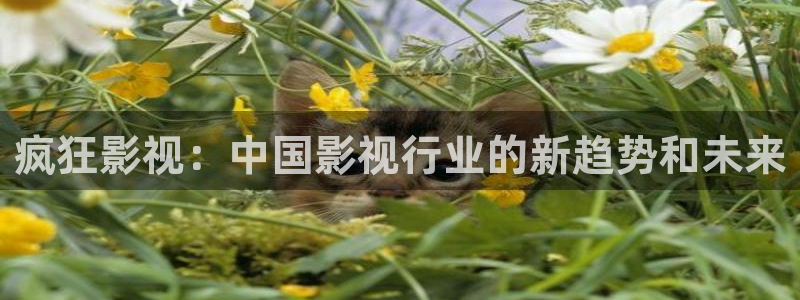 保利国际影城几点开门：疯狂影视：中国影视行业的新趋势和未来