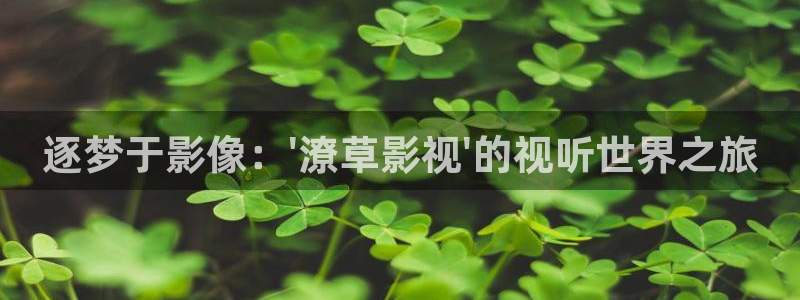 江津保利万和电影院：逐梦于影像：\'潦草影视\'的视听世界之旅